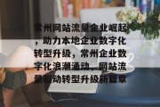 常州网站流量企业崛起，助力本地企业数字化转型升级，常州企业数字化浪潮涌动，网站流量驱动转型升级新篇章