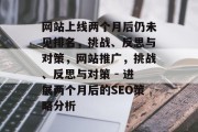 网站上线两个月后仍未见排名，挑战、反思与对策，网站推广，挑战、反思与对策 - 进展两个月后的SEO策略分析