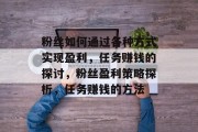 粉丝如何通过各种方式实现盈利，任务赚钱的探讨，粉丝盈利策略探析，任务赚钱的方法