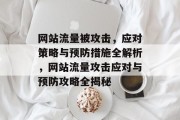 网站流量被攻击，应对策略与预防措施全解析，网站流量攻击应对与预防攻略全揭秘