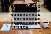 揭秘百度蜘蛛如何高效抓取新网站，助力网站快速提升搜索引擎排名，百度蜘蛛高效抓取新网站的秘密，加速网站SEO提升之道