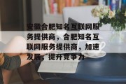 安徽合肥知名互联网服务提供商，合肥知名互联网服务提供商，加速发展，提升竞争力