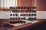 网站流量暴涨却无快照，揭秘背后的原因及解决方案，网站流量激增却无收录快照，揭秘原因与应对策略