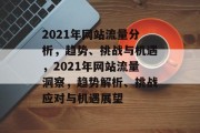 2021年网站流量分析，趋势、挑战与机遇，2021年网站流量洞察，趋势解析、挑战应对与机遇展望