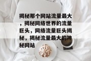 揭秘那个网站流量最大，揭秘网络世界的流量巨头，网络流量巨头揭秘，揭秘流量最大的神秘网站