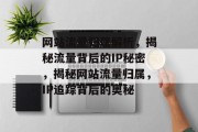 网站流量归属解析，揭秘流量背后的IP秘密，揭秘网站流量归属，IP追踪背后的奥秘