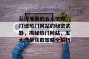 获取流量的五大策略，打造热门网站的秘密武器，揭秘热门网站，五大流量获取策略全解析