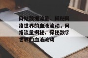 网站数据流量，揭秘网络世界的血液流动，网络流量揭秘，探秘数字世界的血液流动