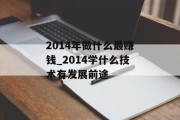 2014年做什么最赚钱_2014学什么技术有发展前途
