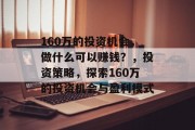 160万的投资机会，做什么可以赚钱？，投资策略，探索160万的投资机会与盈利模式
