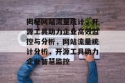 揭秘网站流量统计，开源工具助力企业高效监控与分析，网站流量统计分析，开源工具助力企业智慧监控