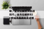 B2C网站流量提升策略，全方位解析与实战技巧，全方位解析B2C网站流量提升实战策略