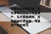 流量网站如何打造，五大策略助你吸引海量用户，五大策略揭秘，流量网站打造秘籍，海量用户轻松吸引
