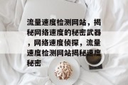 流量速度检测网站，揭秘网络速度的秘密武器，网络速度侦探，流量速度检测网站揭秘速度秘密