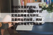 揭秘投流量的网站，如何高效利用互联网平台实现品牌曝光与转化，流量网站的秘密，揭秘高效品牌曝光与转化策略