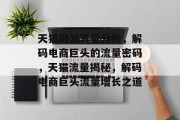 天猫网站流量分析，解码电商巨头的流量密码，天猫流量揭秘，解码电商巨头流量增长之道