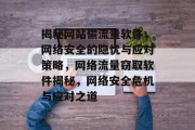 揭秘网站偷流量软件，网络安全的隐忧与应对策略，网络流量窃取软件揭秘，网络安全危机与应对之道