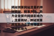 揭秘测算网站流量的神秘网站，精准分析，助力企业提升网络影响力，流量揭秘，神秘测算网站助力企业精准提升网络影响力