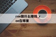 roe做什么赚钱_roe在哪里