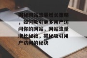 揭秘网站流量增长策略，如何吸引更多用户访问你的网站，网站流量增长秘籍，揭秘吸引用户访问的秘诀