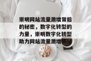 崇明网站流量激增背后的秘密，数字化转型的力量，崇明数字化转型助力网站流量激增揭秘