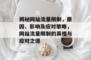 揭秘网站流量限制，原因、影响及应对策略，网站流量限制的真相与应对之道