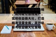 网站精准流量赚钱攻略，如何吸引目标用户，实现收益最大化，打造精准流量金库，高效吸粉与收益最大化策略