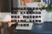 揭秘网站真实流量提升秘籍，五大策略助你脱颖而出，网站流量提升秘籍大揭秘，五大策略成就行业翘楚