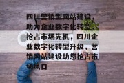 四川营销型网站建设，助力企业数字化转型，抢占市场先机，四川企业数字化转型升级，营销网站建设助您抢占市场风口