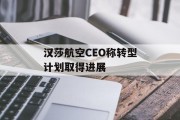 汉莎航空CEO称转型计划取得进展