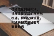 亿级流量网站PDF，揭秘流量背后的秘密与机遇，解码亿级流量，PDF揭秘流量秘密与商业机遇