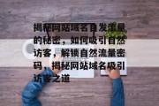 揭秘网站域名自发流量的秘密，如何吸引自然访客，解锁自然流量密码，揭秘网站域名吸引访客之道