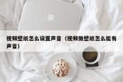 视频壁纸怎么设置声音（视频做壁纸怎么能有声音）