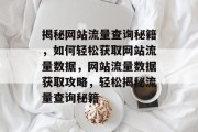 揭秘网站流量查询秘籍，如何轻松获取网站流量数据，网站流量数据获取攻略，轻松揭秘流量查询秘籍