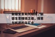 新疆生意如何赚钱,新疆生意赚钱之道,探索与机遇的交汇点 新疆生意如何赚钱,新疆生意赚钱之道,探索与机遇的交汇点