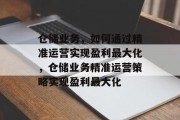 仓储业务,如何通过精准运营实现盈利最大化,仓储业务精准运营策略实现盈利最大化