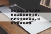 网站漏洞，如何巧妙利用漏洞获取大量流量，巧妙挖掘网站漏洞，流量倍增攻略揭秘