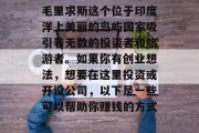 毛里求斯这个位于印度洋上美丽的岛屿国家吸引着无数的投资者和旅游者。如果你有创业想法,想要在这里投资或开设公司,以下是一些可以帮助你赚钱的方式。