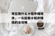 现在做什么小程序赚钱快,一元起做小程序赚钱的全攻略