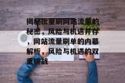 揭秘批量刷网站流量的秘密，风险与机遇并存，网站流量刷单的内幕解析，风险与机遇的双重挑战