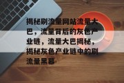 揭秘刷流量网站流量大巴，流量背后的灰色产业链，流量大巴揭秘，揭秘灰色产业链中的刷流量黑幕