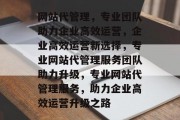 网站代管理，专业团队助力企业高效运营，企业高效运营新选择，专业网站代管理服务团队助力升级，专业网站代管理服务，助力企业高效运营升级之路