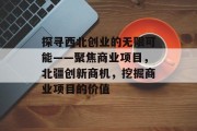 探寻西北创业的无限可能——聚焦商业项目，北疆创新商机，挖掘商业项目的价值