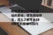 探索专业SEO优化网站的奥秘，提高网站排名，深入了解专业SEO优化的策略与技巧