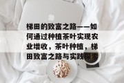 梯田的致富之路——如何通过种植茶叶实现农业增收,茶叶种植,梯田致富之路与实践探索 梯田的致富之路——如何通过种植茶叶实现农业增收,茶叶种植,梯田致富之路与实践探索