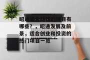 昭通适合赚钱的项目有哪些？，昭通发展及前景，适合创业和投资的热门项目一览