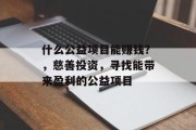 什么公益项目能赚钱?,慈善投资,寻找能带来盈利的公益项目