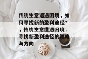 传统生意遭遇困境,如何寻找新的盈利途径?,传统生意遭遇困境,寻找新盈利途径的策略与方向 传统生意遭遇困境,如何寻找新的盈利途径?,传统生意遭遇困境,寻找新盈利途径的策略与方向