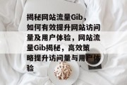 揭秘网站流量Gib，如何有效提升网站访问量及用户体验，网站流量Gib揭秘，高效策略提升访问量与用户体验