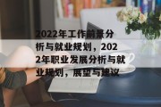 2022年工作前景分析与就业规划，2022年职业发展分析与就业规划，展望与建议